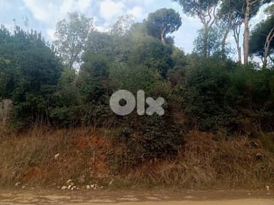 Land for sale in roumieh