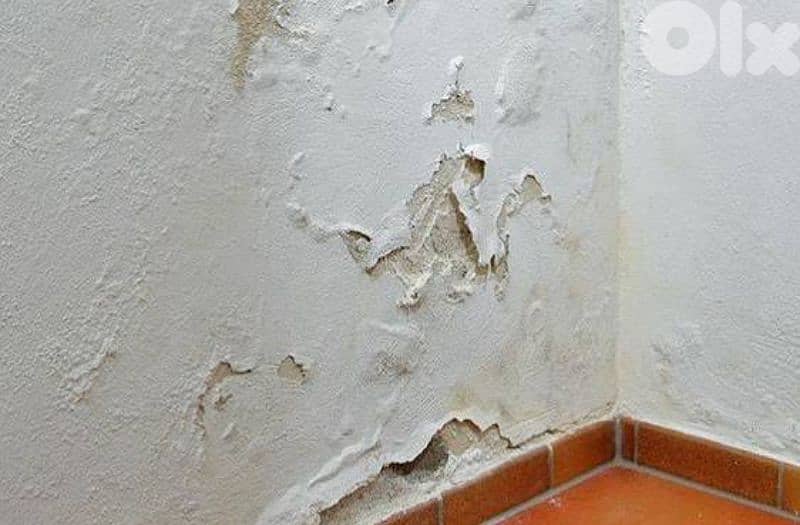 دهان ضمن  بيروت.  60$بس رطوبة  وتبييض غرف 0