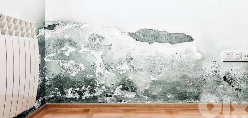 دهان ضمن  بيروت.  60$بس رطوبة  وتبييض غرف 1