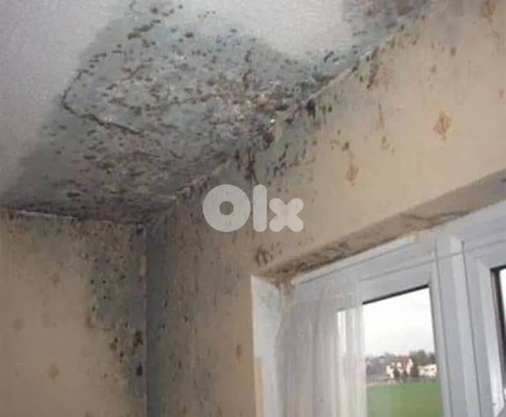دهان ضمن  بيروت.  60$بس رطوبة  وتبييض غرف 2