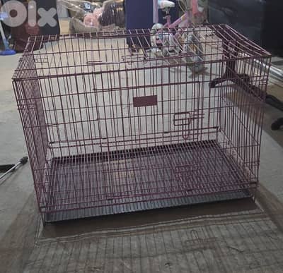 Training Cage & Crate