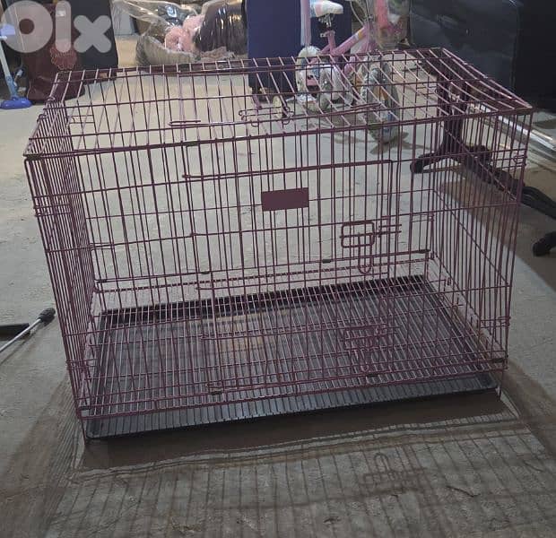 Training Cage & Crate 0