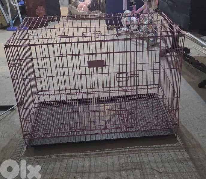 Training Cage & Crate 1