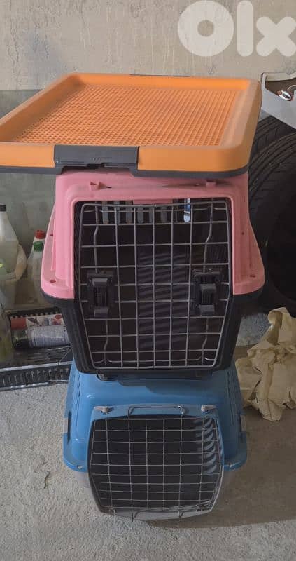 Training Cage & Crate 2