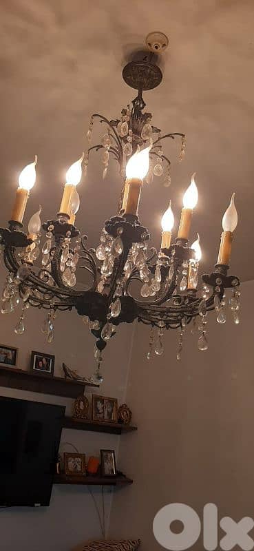 تريا ١٢ لمبة