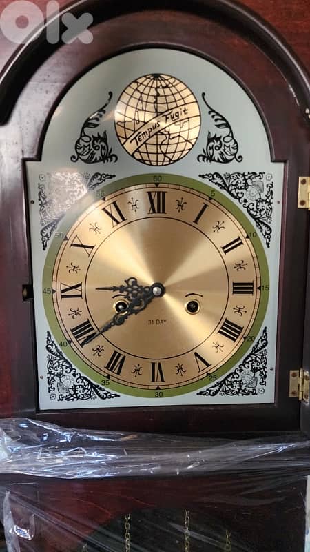 Classic Grandfather Clock with Tempus Fugit Dial 1