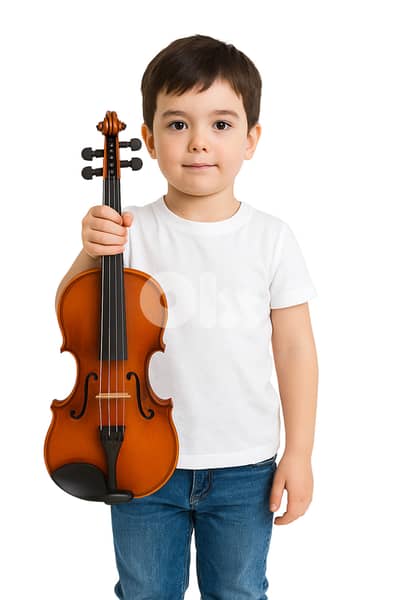 Deviser 3/4 size acoustic violin with case