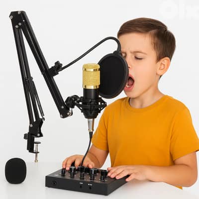 V8 LIVE Karaoke Tiktok mixer with mic and accessories