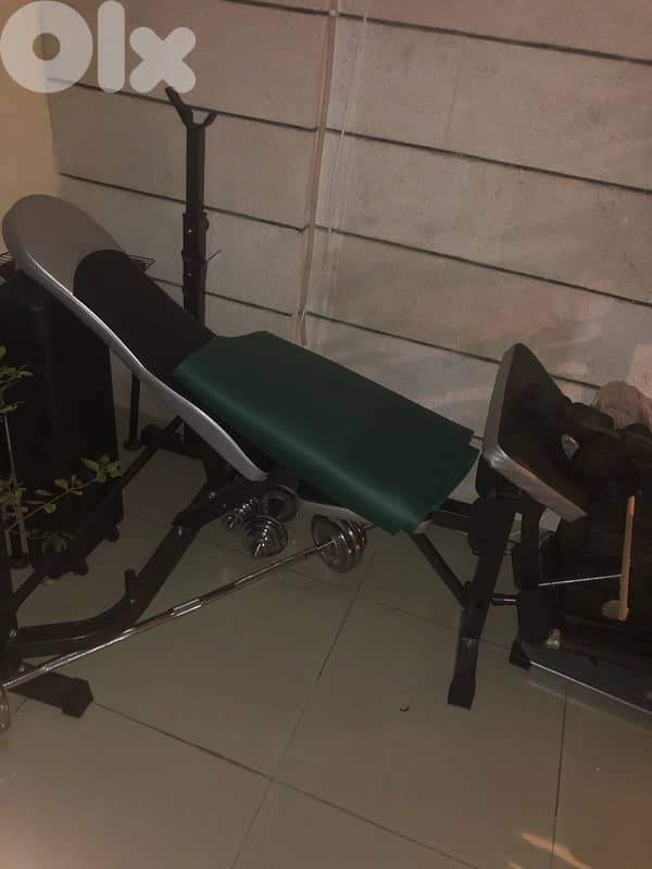 bench + dumbbells chrome 50 kg 3