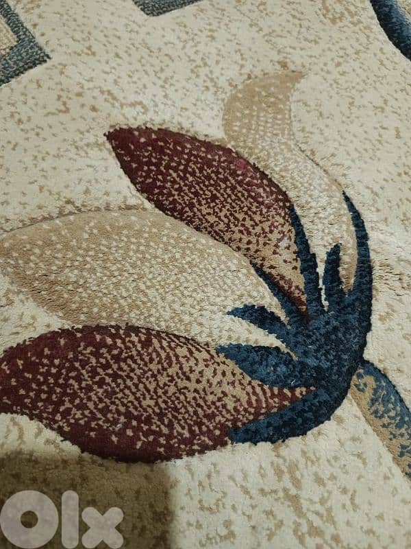 Belgian Carpet Living Room 3