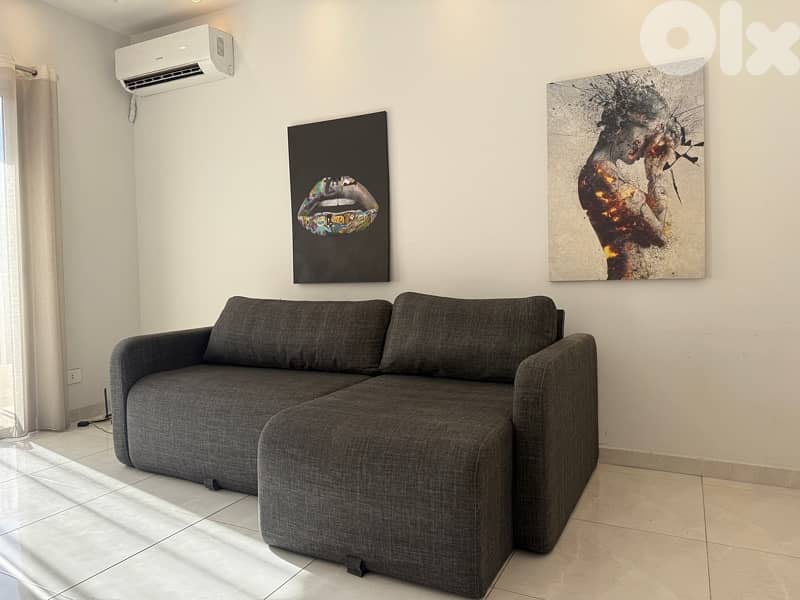 sofa ( opens both sides) 1