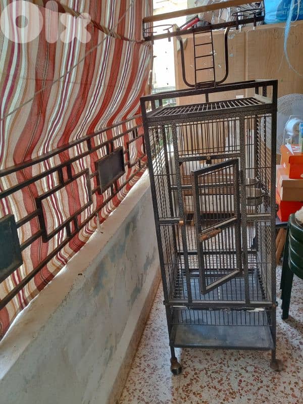 عين الرمانة 0