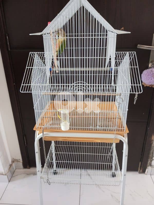 قفص كبير و ستاند 1