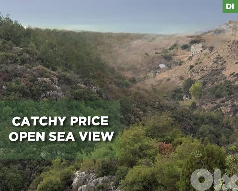 Land for Sale in Dawhet El Hoss - Aley / دوحة الحص REF#DI129487 0