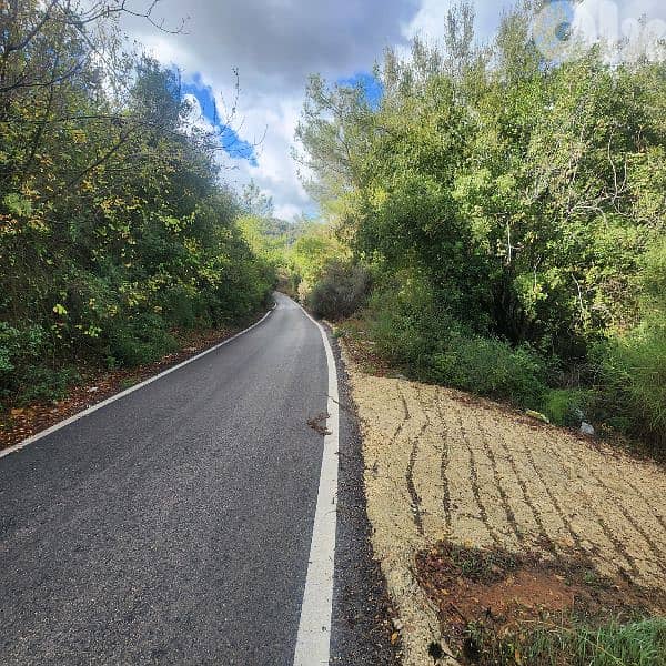 Land for sale in Bisri Jezzine - أرض للبيع في منطقة بسري جزين 2