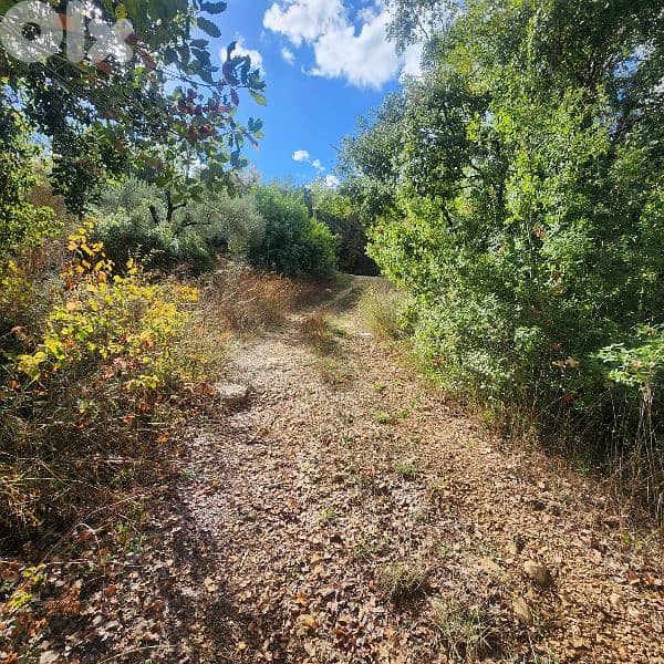 Land for sale in Bisri Jezzine - أرض للبيع في منطقة بسري جزين 3