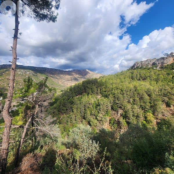 Land for sale in Bisri Jezzine - أرض للبيع في منطقة بسري جزين 4