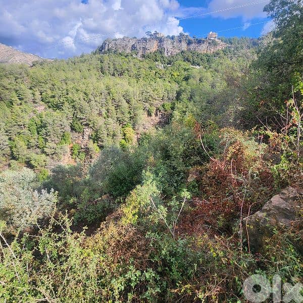 Land for sale in Bisri Jezzine - أرض للبيع في منطقة بسري جزين 5