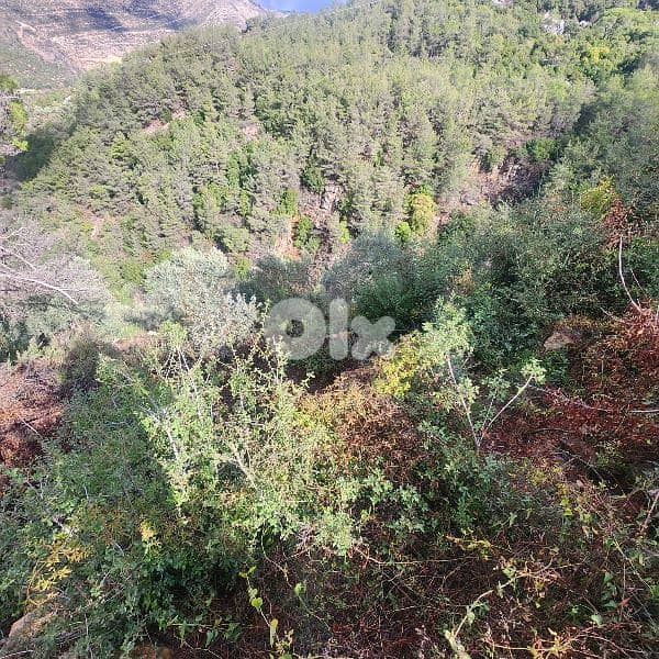 Land for sale in Bisri Jezzine - أرض للبيع في منطقة بسري جزين 6