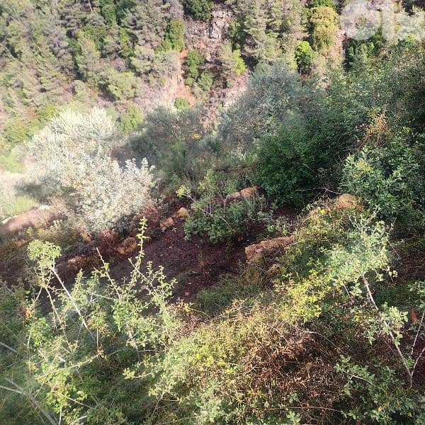 Land for sale in Bisri Jezzine - أرض للبيع في منطقة بسري جزين 7