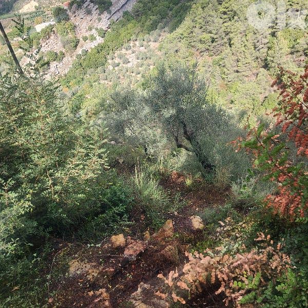 Land for sale in Bisri Jezzine - أرض للبيع في منطقة بسري جزين 8