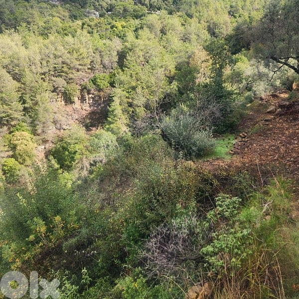 Land for sale in Bisri Jezzine - أرض للبيع في منطقة بسري جزين 9