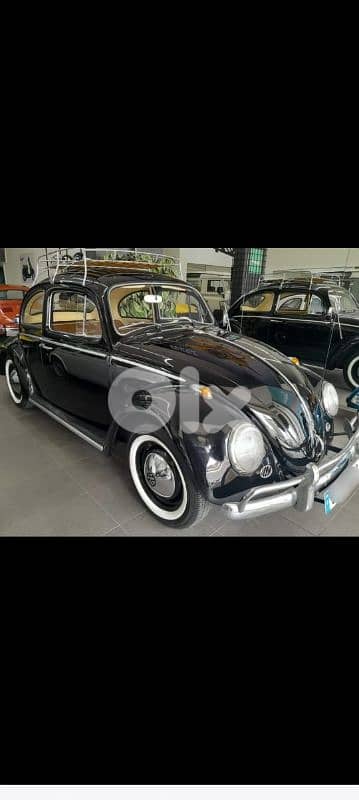 Beetle 1960