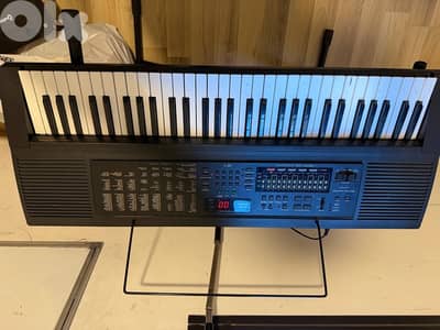 casio org piano working
