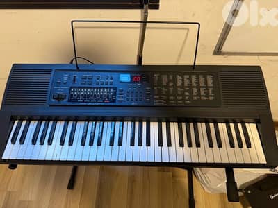 casio org piano working