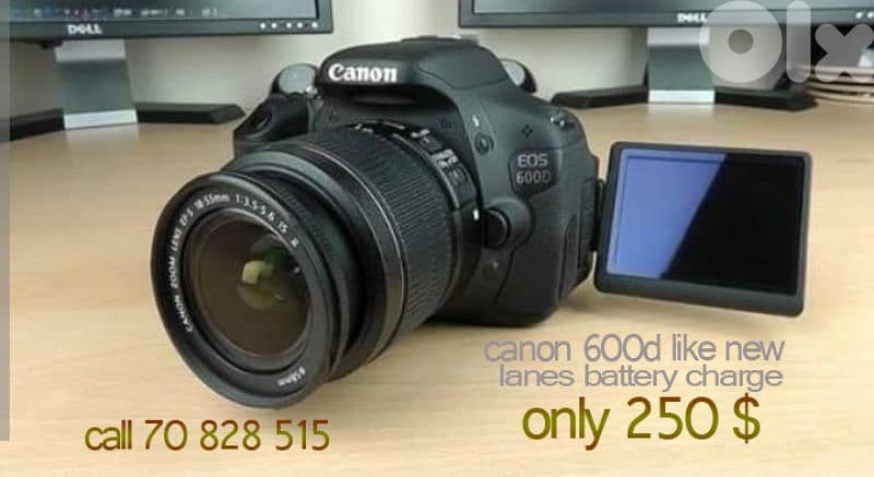 صور حي الرمل 0