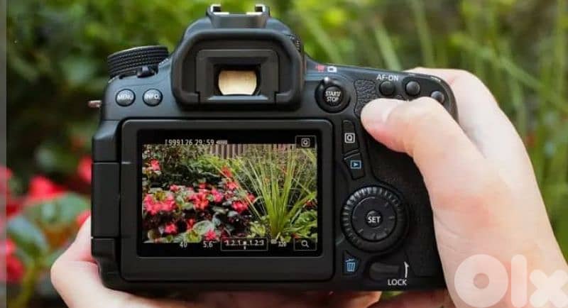 صور حي الرمل 1