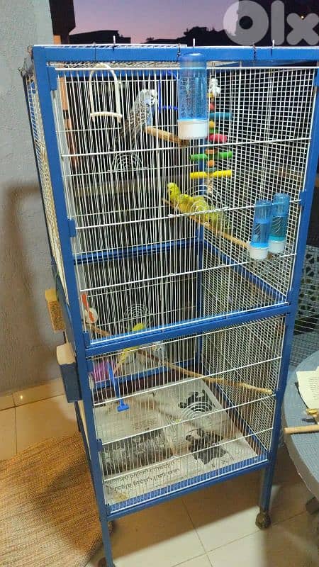 flight cage قفص مطير كبير للبيع 0