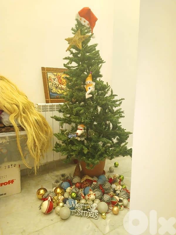 شجرة 170   مع زينة 0