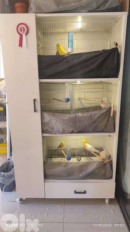breeding cage closet خزانة اقفاص ببتزاوج للبيع 2