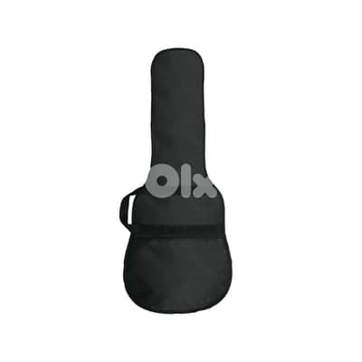 Electric Guitar full size black bag