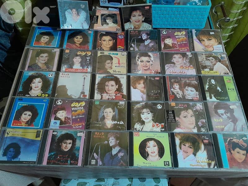 وردة الجزرية 0