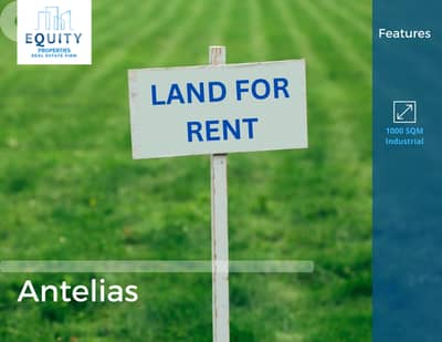 1,000 up to 40,000 SQM Land For Rent In Antelias #RH232719