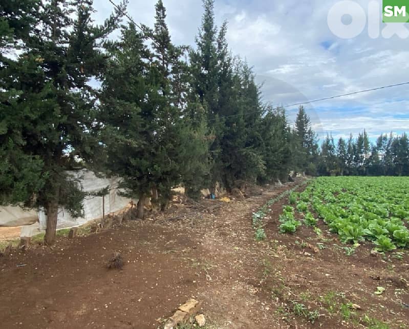 للبيع أرض في قبة شمرا/ Qobbeh Shammra REF#SM129507 0