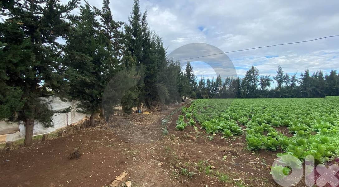 للبيع أرض في قبة شمرا/ Qobbeh Shammra REF#SM129507 1