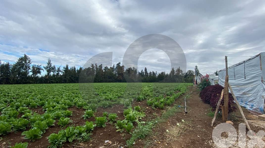 للبيع أرض في قبة شمرا/ Qobbeh Shammra REF#SM129507 2