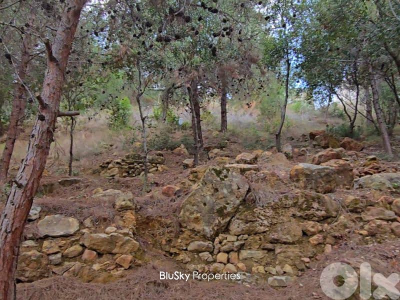 Land For SALE In Bleibel أرض للبيع #JG 0