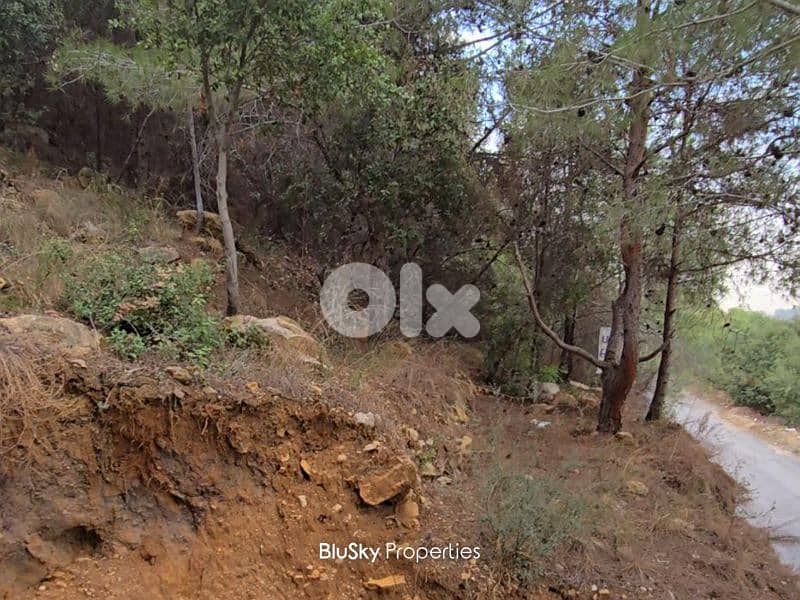 Land For SALE In Bleibel أرض للبيع #JG 1