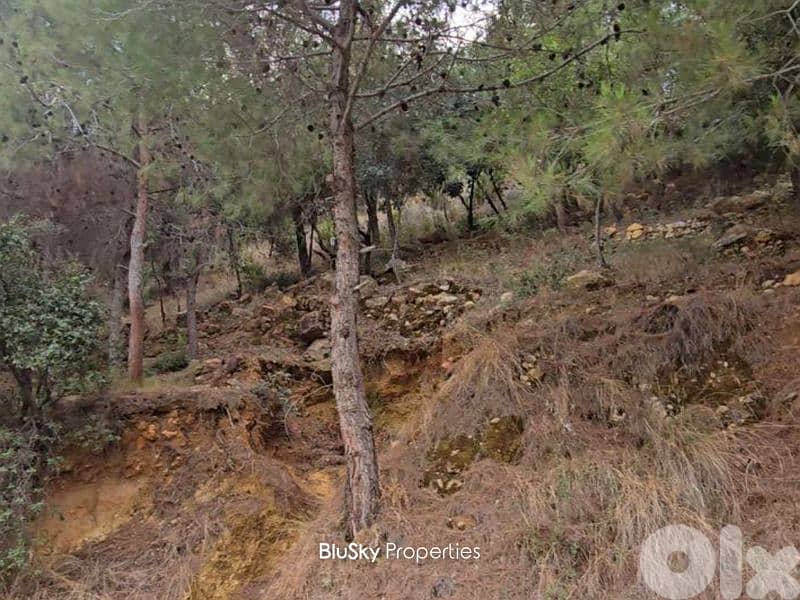 Land For SALE In Bleibel أرض للبيع #JG 2