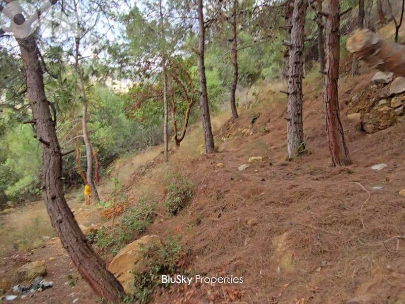Land For SALE In Bleibel أرض للبيع #JG 3