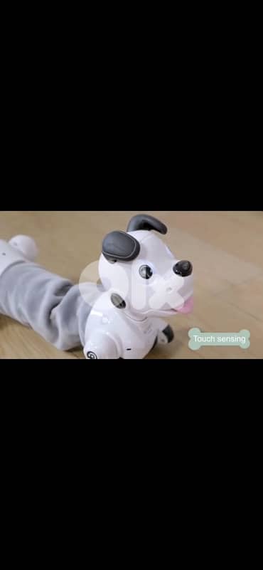Kids Stretching remote control robot dog 9