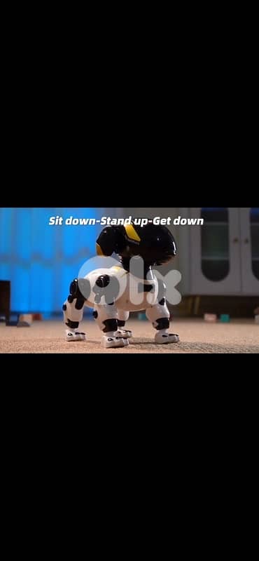 Intelligent kids robot dog 8