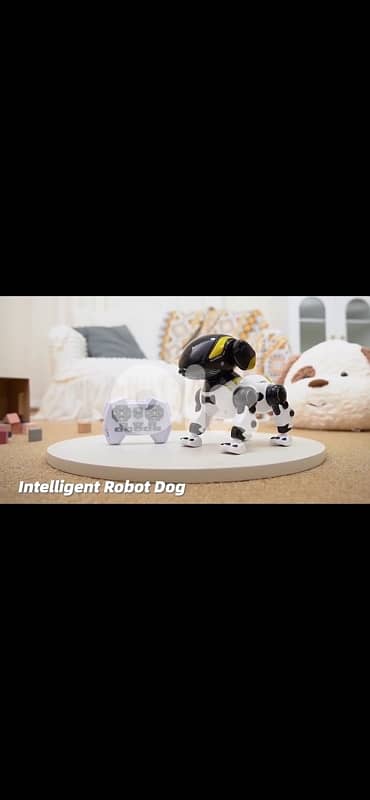 Intelligent kids robot dog 11