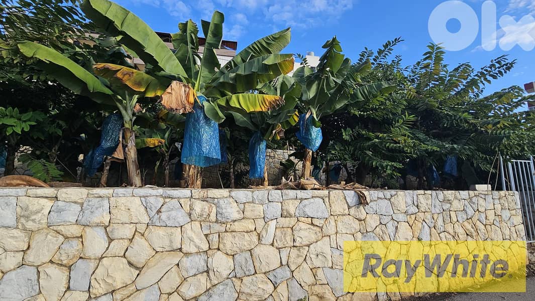 RWB523EA - Land for sale in Nahr Ibrahim Jbeil 0