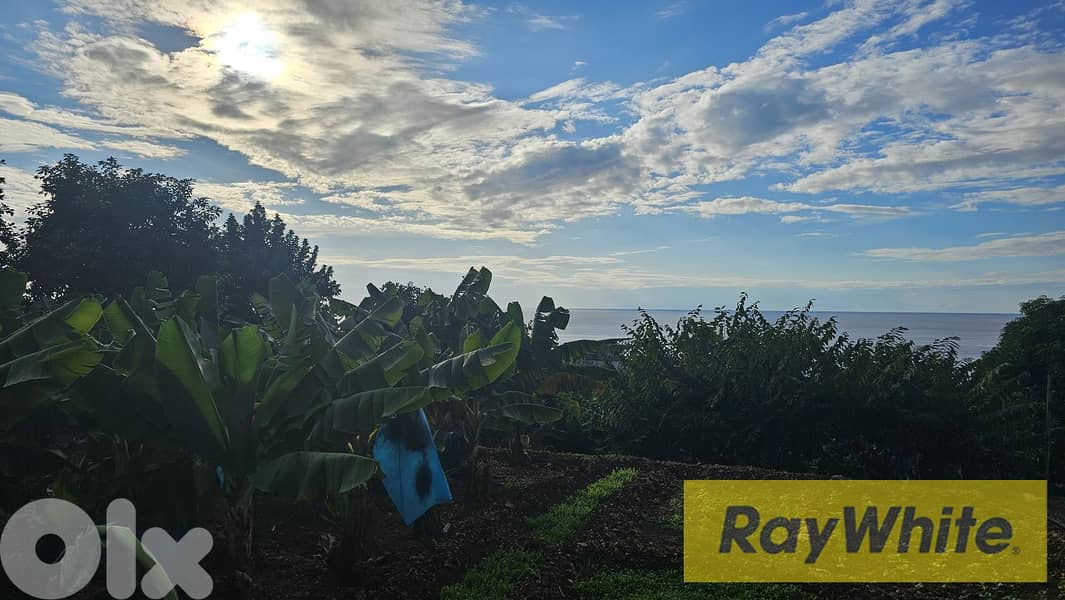 RWB523EA - Land for sale in Nahr Ibrahim Jbeil 1