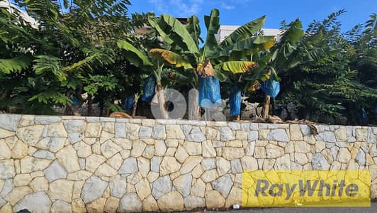 RWB524EA - Land for sale in Nahr Ibrahim Jbeil